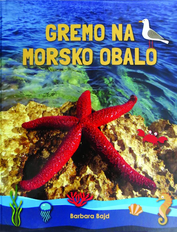 Gremo na morsko obalo