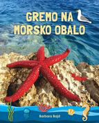 Gremo na morsko obalo